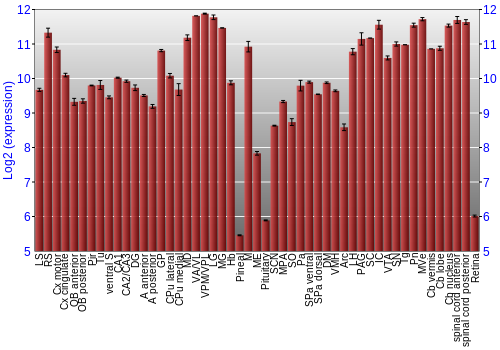 Expression graph