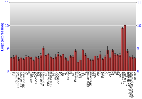 Expression graph