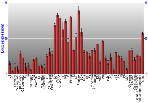 Expression graph