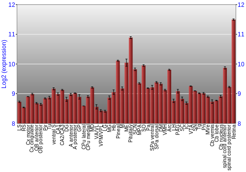 Expression graph