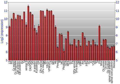 Expression graph
