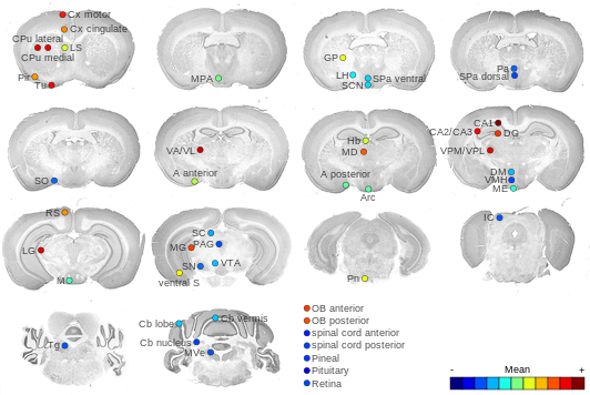 Expression map