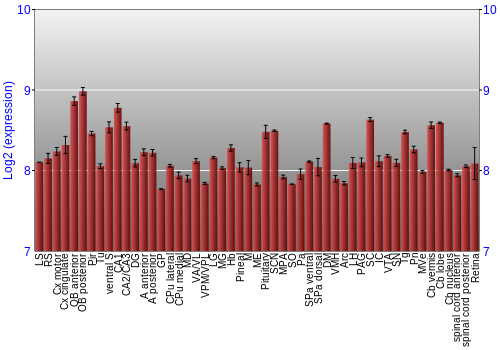 Expression graph