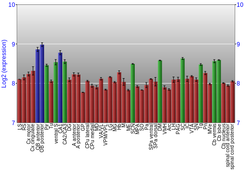 Multi-state expression graph