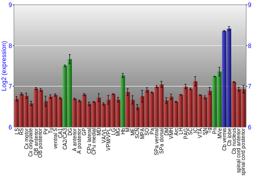 Multi-state expression graph