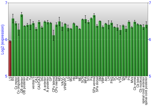 Multi-state expression graph