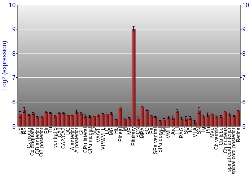 Expression graph