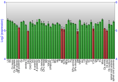 Multi-state expression graph