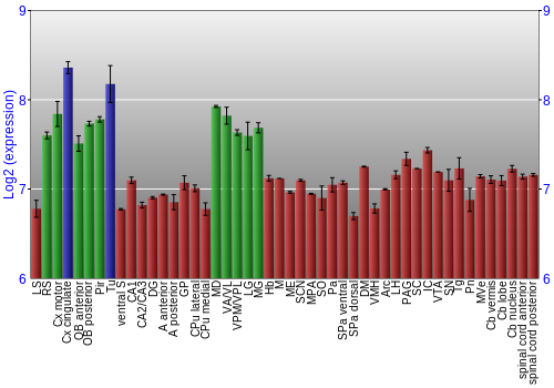 Multi-state expression graph