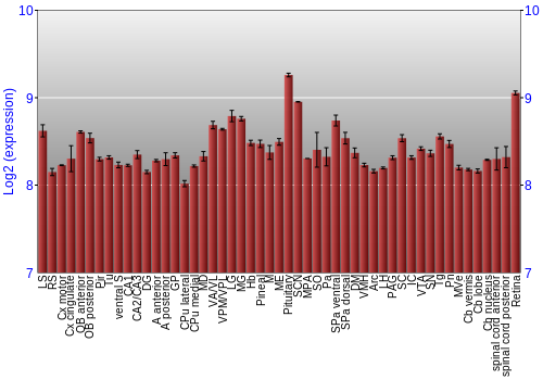 Expression graph
