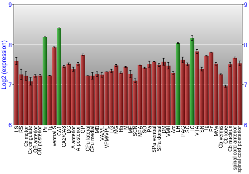Multi-state expression graph