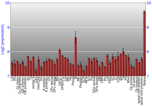Expression graph