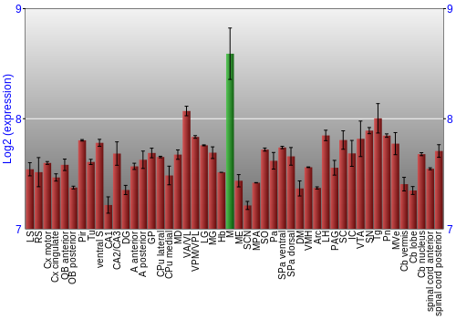 Multi-state expression graph