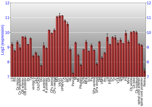 Expression graph