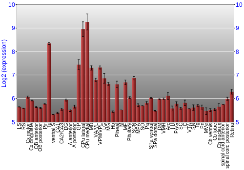 Expression graph