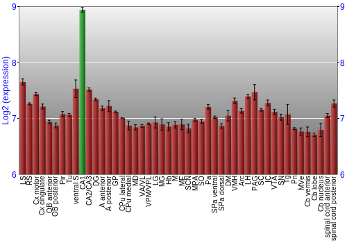 Multi-state expression graph