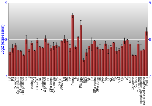 Expression graph