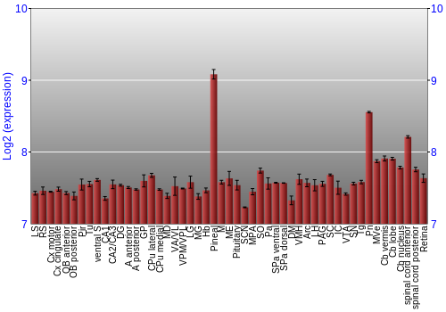 Expression graph