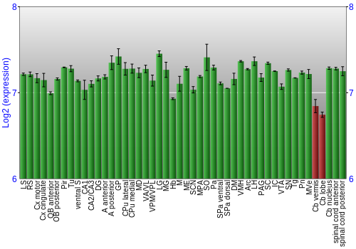 Multi-state expression graph