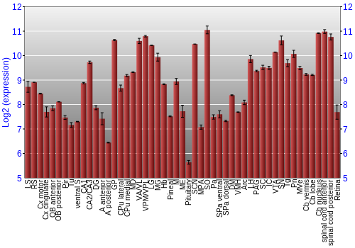 Expression graph
