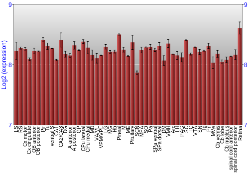 Expression graph