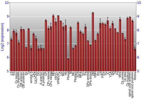 Expression graph