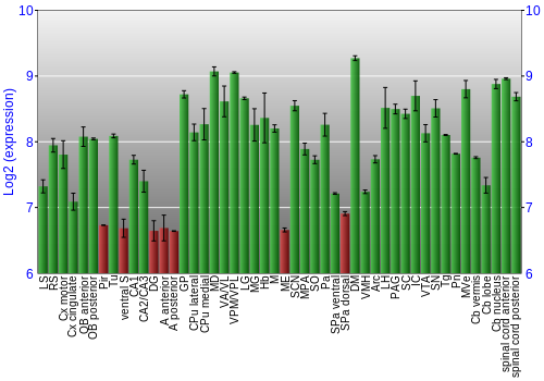 Multi-state expression graph