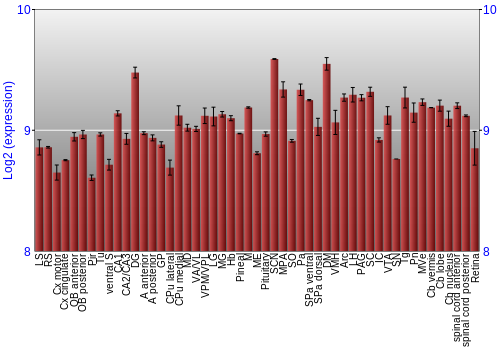 Expression graph