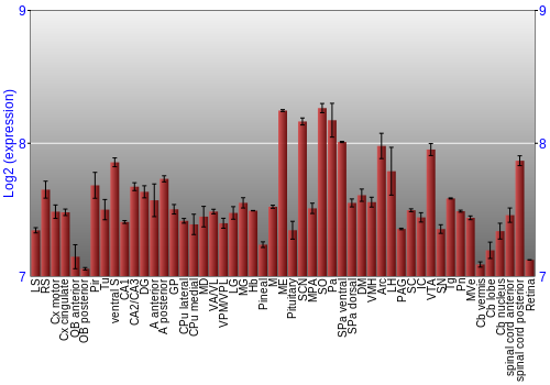 Expression graph