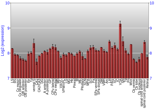 Expression graph