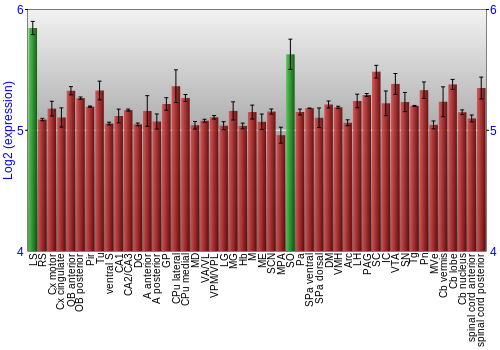 Multi-state expression graph