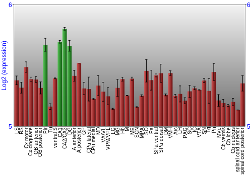 Multi-state expression graph