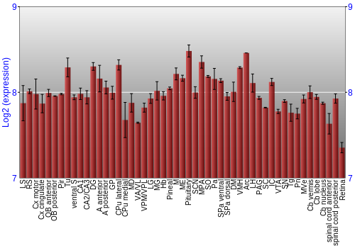 Expression graph