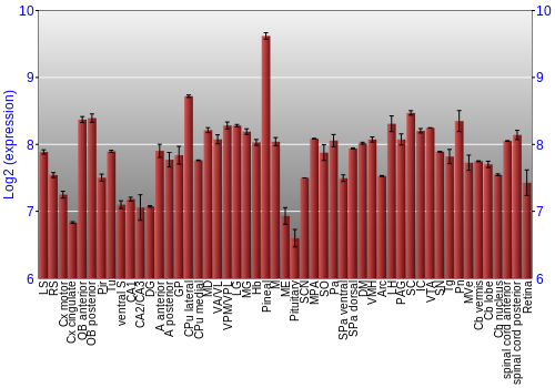 Expression graph