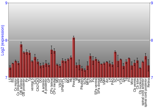 Expression graph