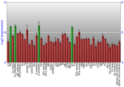 Multi-state expression graph