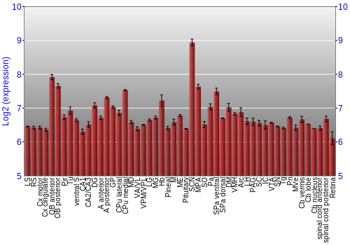 Expression graph