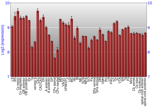 Multi-state expression graph