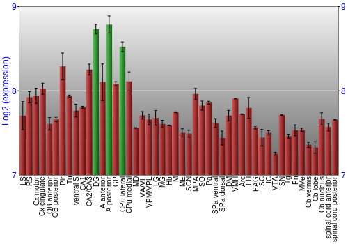 Multi-state expression graph