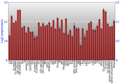 Expression graph