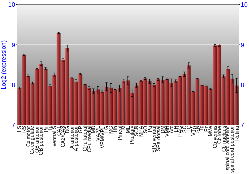 Expression graph