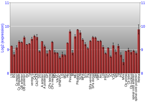 Expression graph