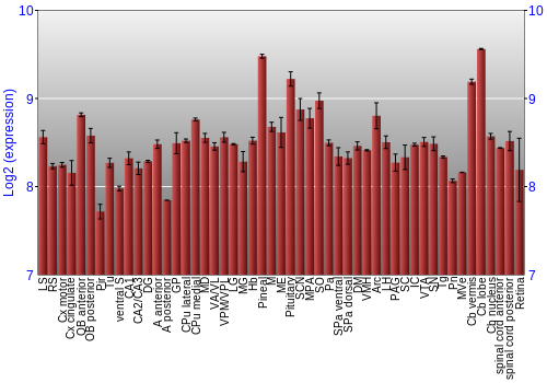 Expression graph