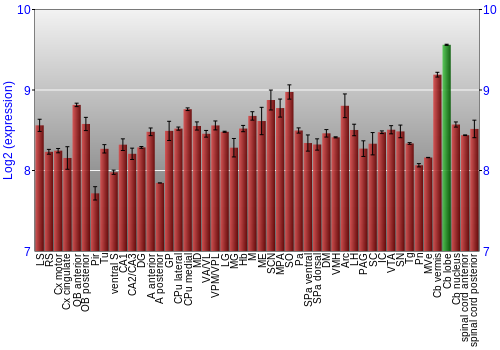 Multi-state expression graph
