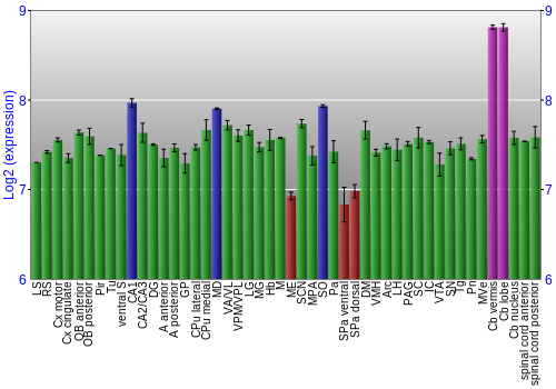 Multi-state expression graph