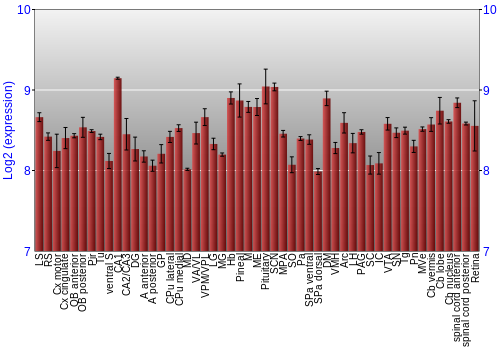 Expression graph