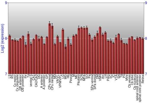 Expression graph