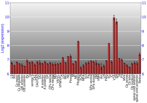 Expression graph