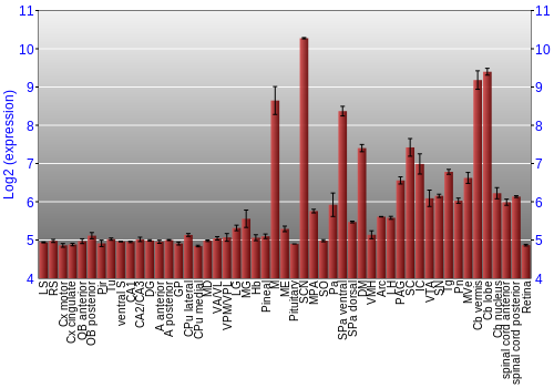 Expression graph