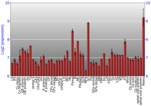 Expression graph